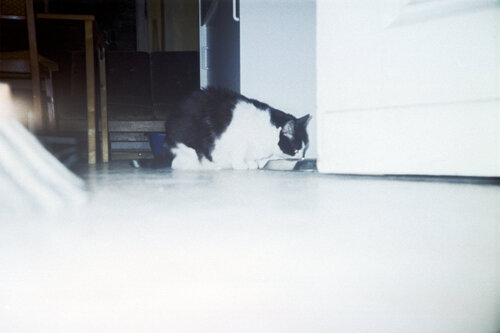 Panorama AW-200 Nr. 008 von Michel Meijer, Fotografie kaufen auf Singulart