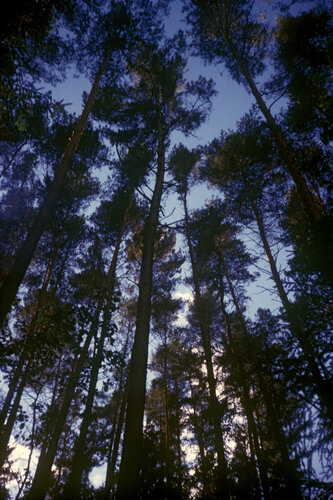 Panorama AW-200 Nr. 108 de Michel Meijer, Fotografía a la venta en Singulart