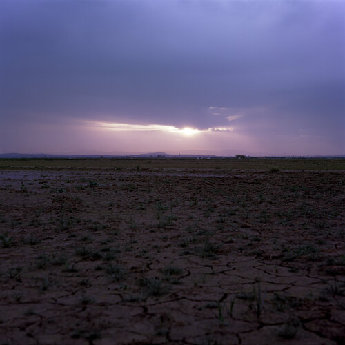 Parc Natural de l'Albufera de València, Spain 2022 van Michel Meijer, Fotografie te koop op Singulart