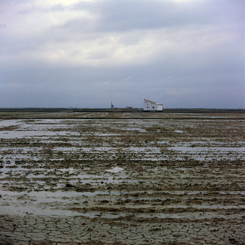 Parc Natural de l'Albufera de València, Spain 2022 van Michel Meijer, Fotografie te koop op Singulart