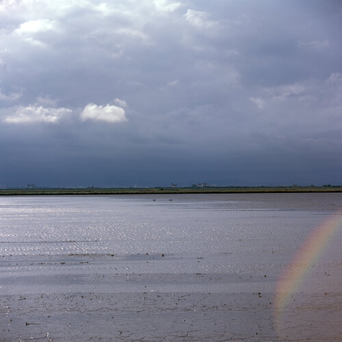 Parc Natural de l'Albufera de València, Spain 2022 de Michel Meijer, Fotografía a la venta en Singulart