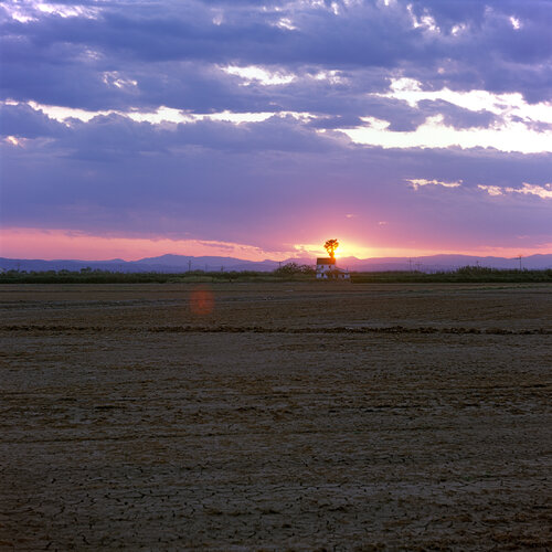 Parc Natural de l'Albufera de València, Spain 2022 by Michel Meijer, Photography for Sale on Singulart