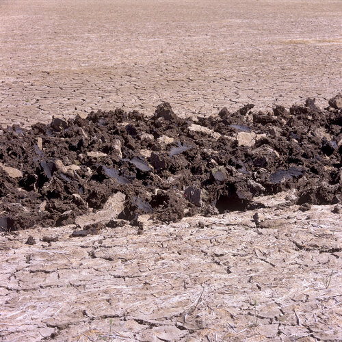 Parc Natural de l'Albufera de València, Spain 2022 by Michel Meijer, Photography for Sale on Singulart