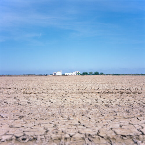 Parc Natural de l'Albufera de València, Spain 2022 di Michel Meijer, Fotografia in vendita su Singulart