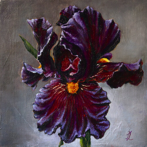 The Velvet Mystery of the Purple Iris van Inga Loginova, Schilderij te koop op Singulart