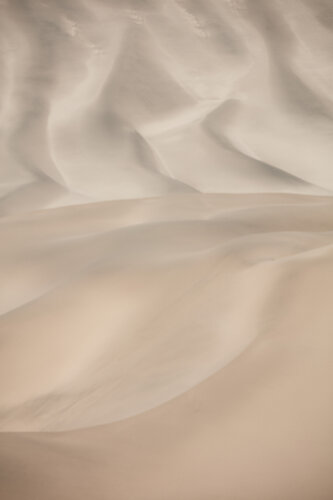 Charmeuse di Kent Burkhardsmeier, Fotografia in vendita su Singulart