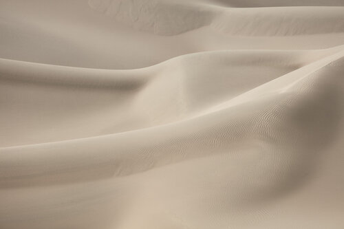 Chiffon di Kent Burkhardsmeier, Fotografia in vendita su Singulart