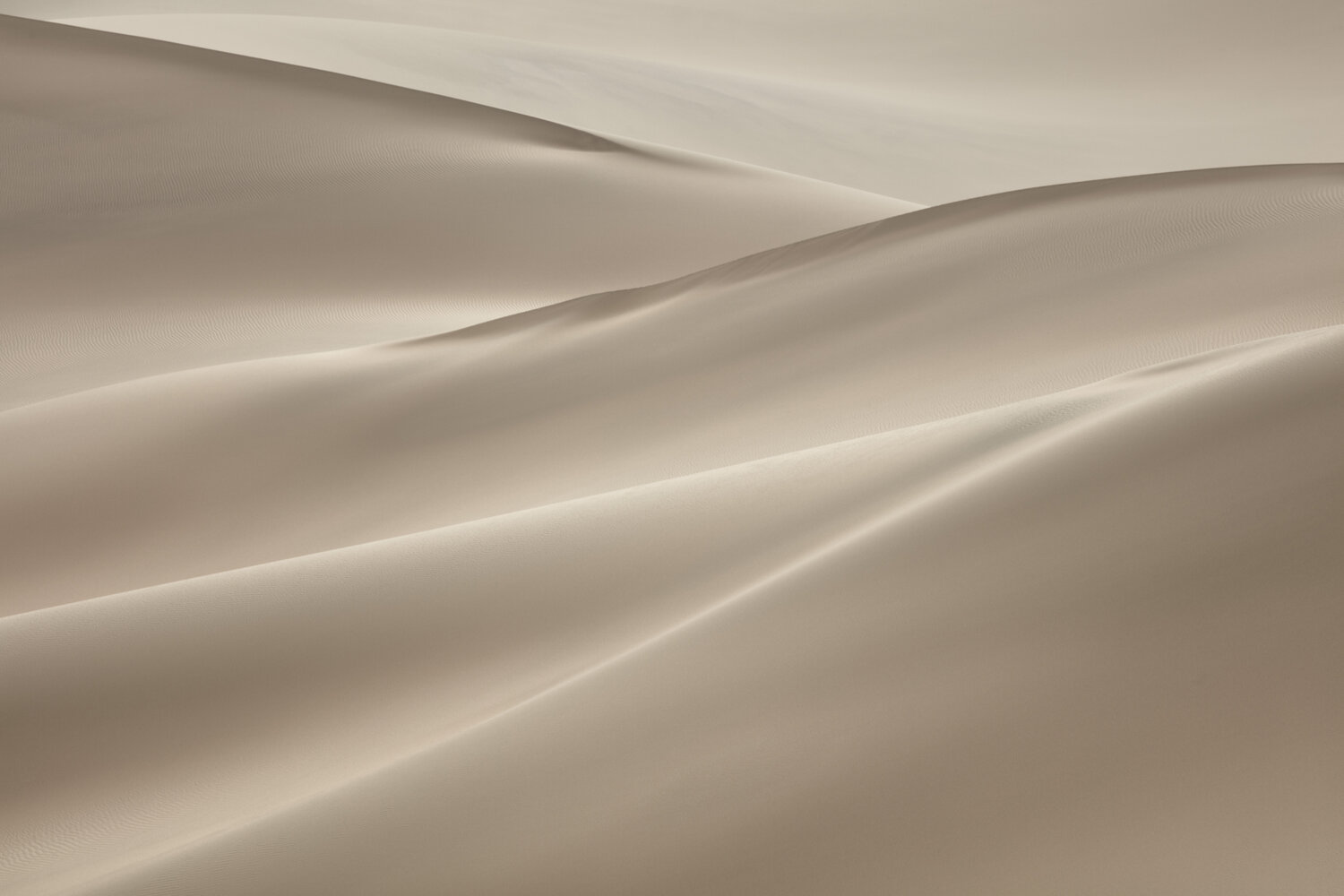 Satin Kent Burkhardsmeier