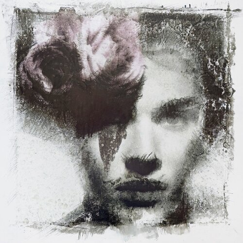 Shadows of Her Mind Robert Jaso