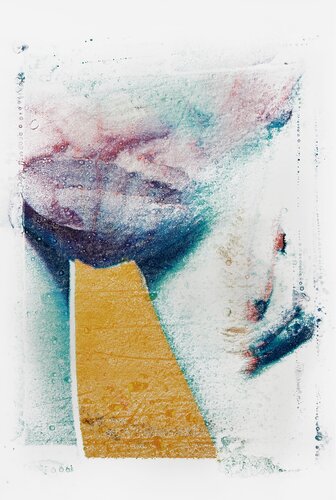 Petals of Venus von Robert Jaso, Fotografie kaufen auf Singulart