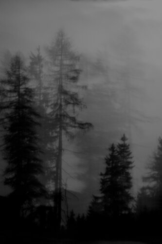 Night Fog von Geraldine Haas, Fotografie kaufen auf Singulart