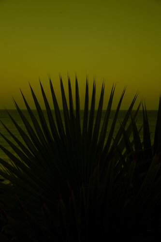 After Sunset II di Geraldine Haas, Fotografia in vendita su Singulart