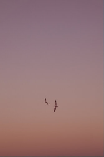 After Sunset III de Geraldine Haas, Fotografía a la venta en Singulart