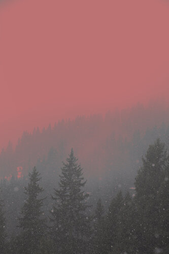 Pink Snow par Geraldine Haas, Photographie en vente sur Singulart