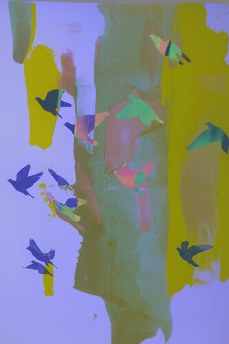 Colored Birds di Geraldine Haas, Fotografia in vendita su Singulart