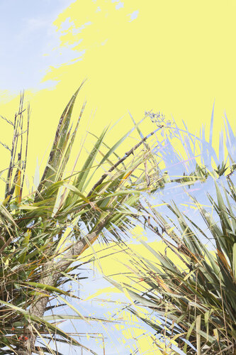 Yellow Leaves par Geraldine Haas, Photographie en vente sur Singulart