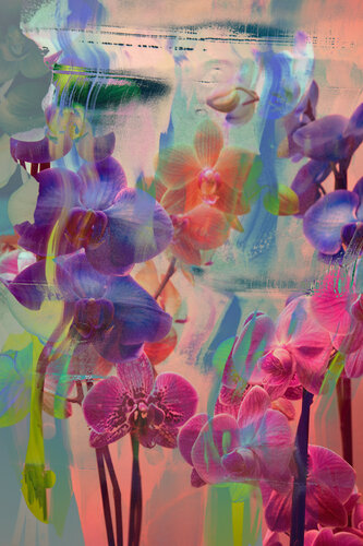 Collage with Orchids par Geraldine Haas, Photographie en vente sur Singulart
