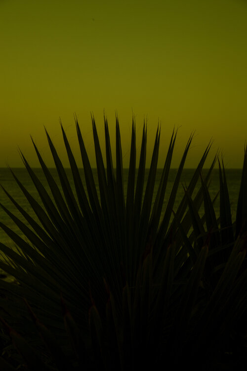 After Sunset II Geraldine Haas