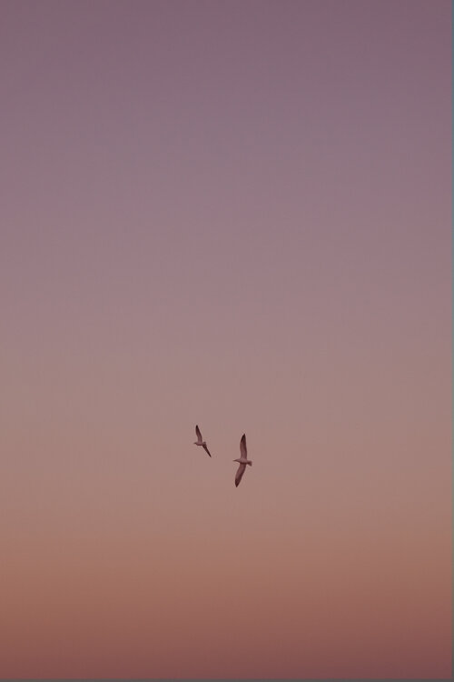 After Sunset III Geraldine Haas