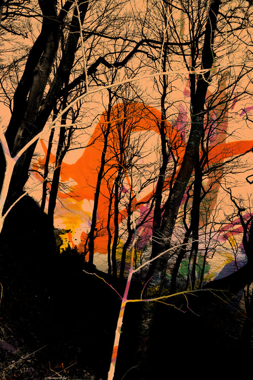 Woods Geraldine Haas