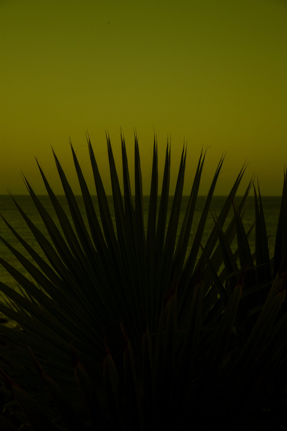 After Sunset II Geraldine Haas