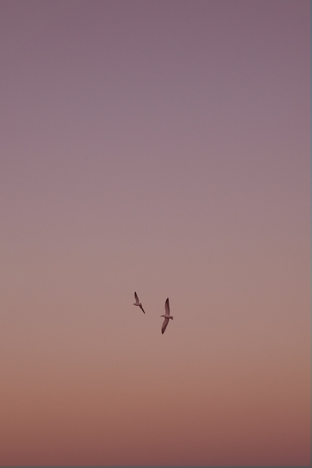 After Sunset III Geraldine Haas