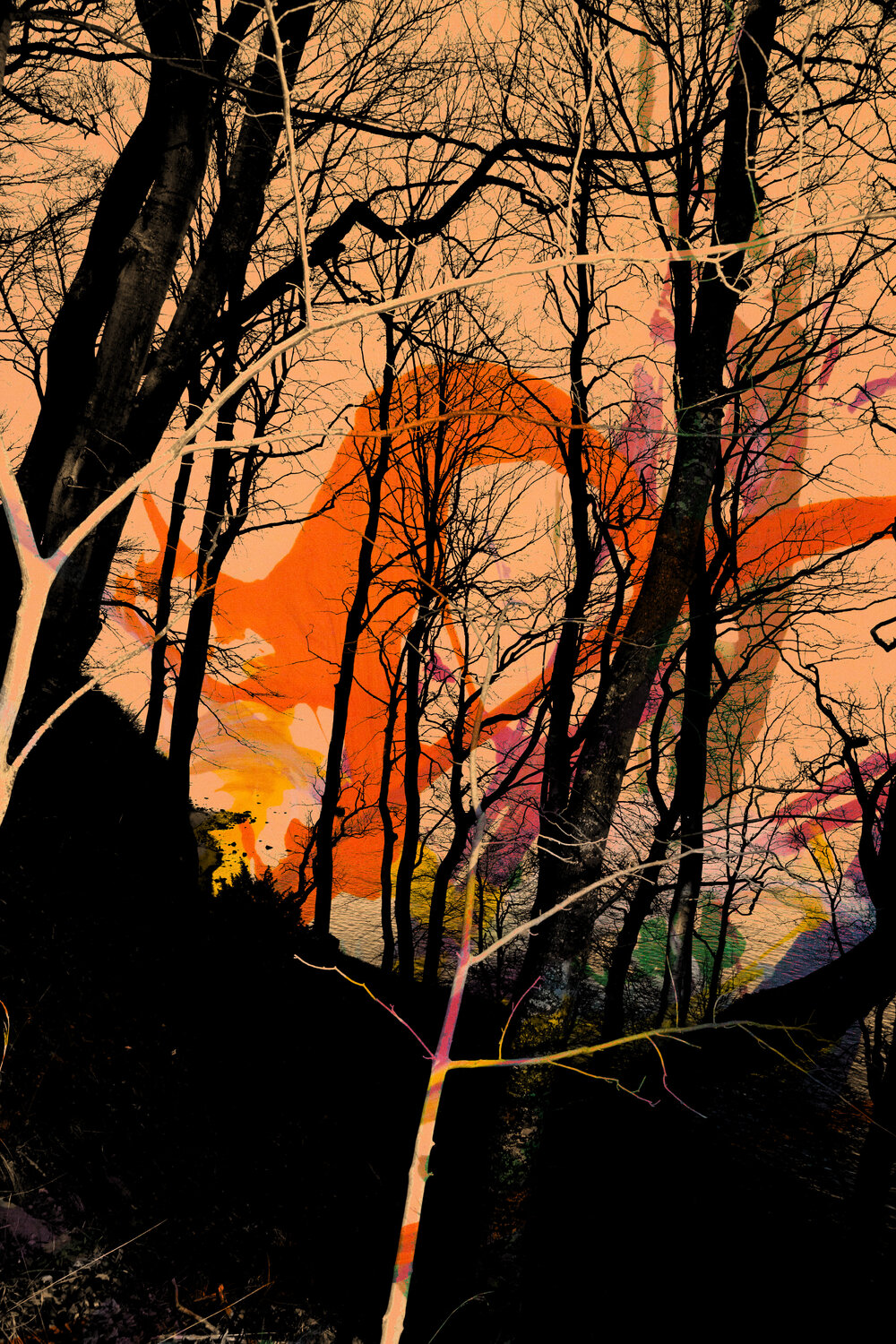 Woods Geraldine Haas