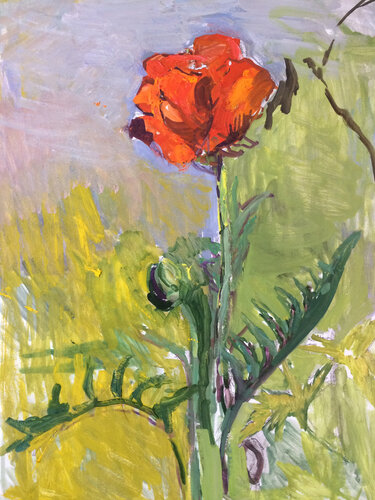 Red poppy von Anna Trigub, Malerei kaufen auf Singulart