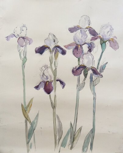 Irises by Anna Trigub, Work on Paper for Sale on Singulart