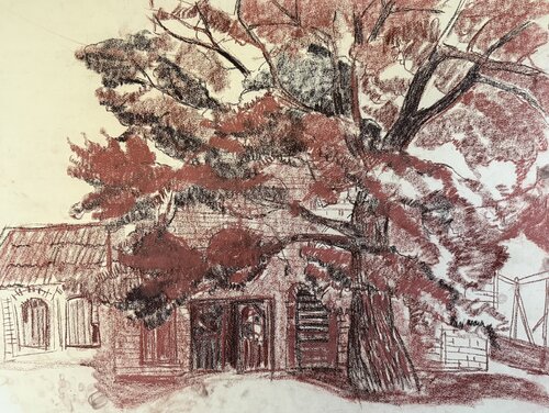 An old oak tree . Sepia van Anna Trigub, Werk op papier te koop op Singulart