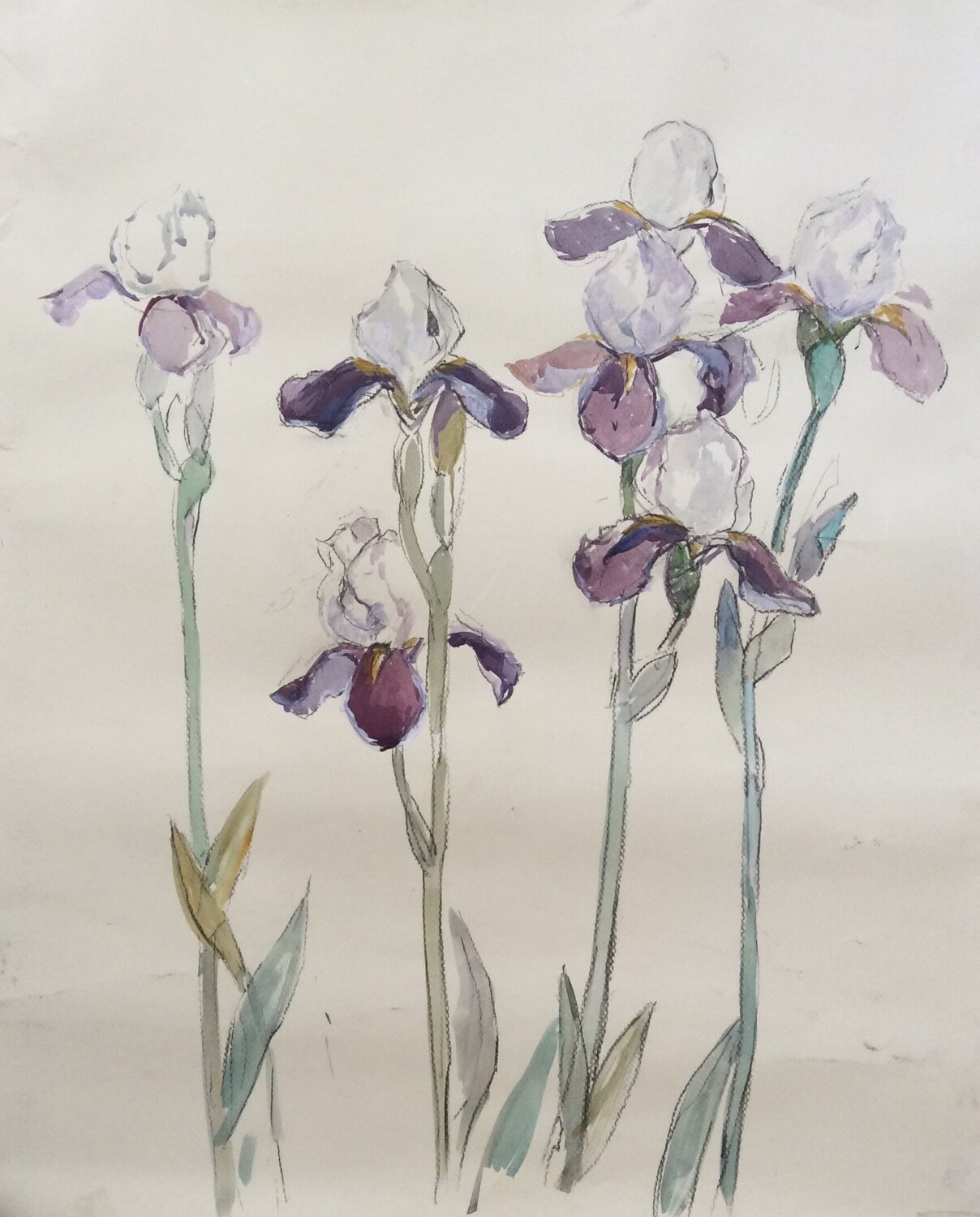 Irises Anna Trigub