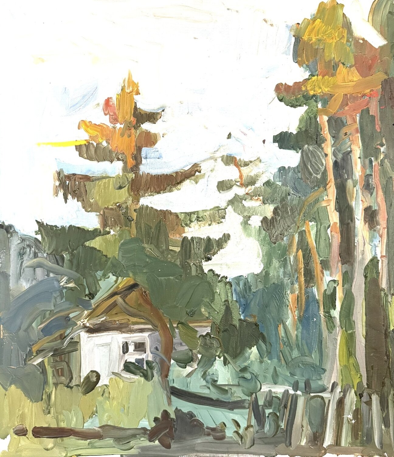 Forest . View of an old pine tree Anna Trigub