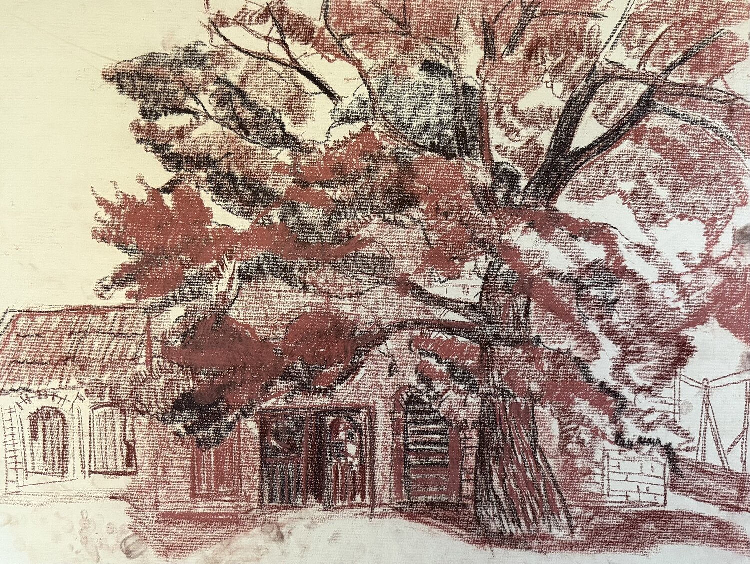 An old oak tree . Sepia Anna Trigub