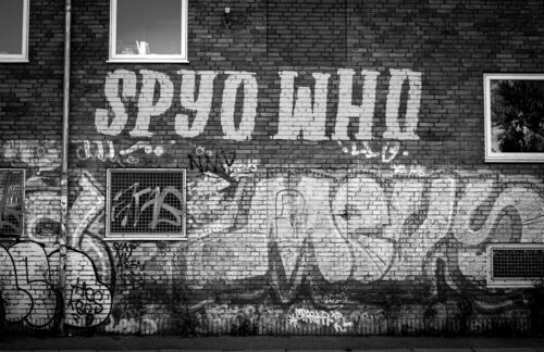 SPY WHO Catharina Dethlefs Hoffmann