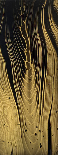 Grass, golden I di Kirsten Römersperger aka mimmisilver, Pittura in vendita su Singulart