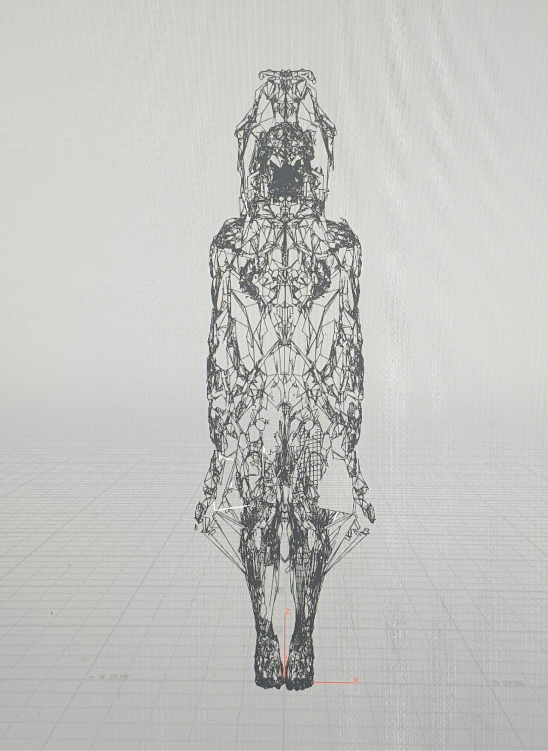 Figure GEO - Front Christian Schwaller