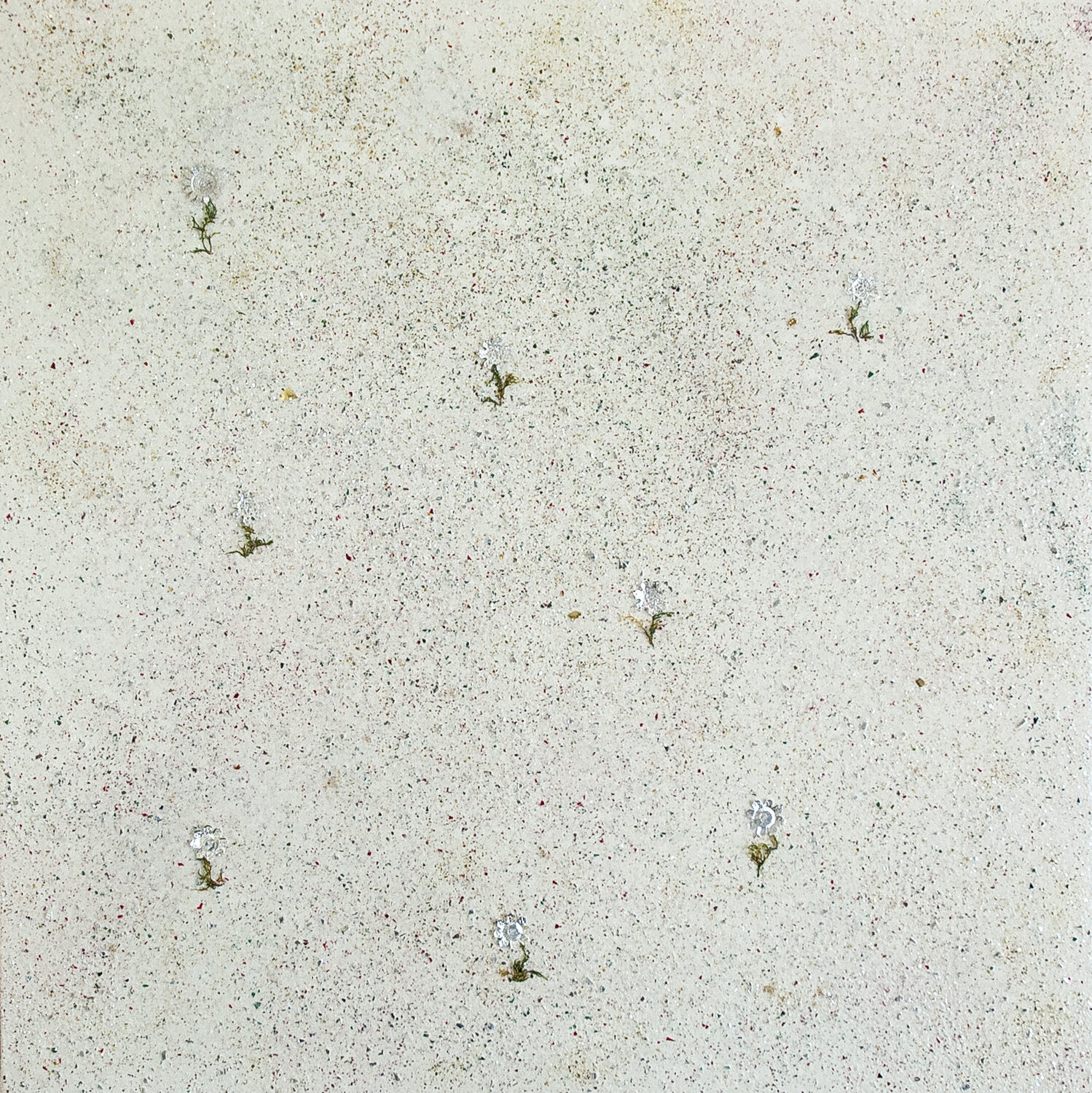 Christmas garden Analía Amaya