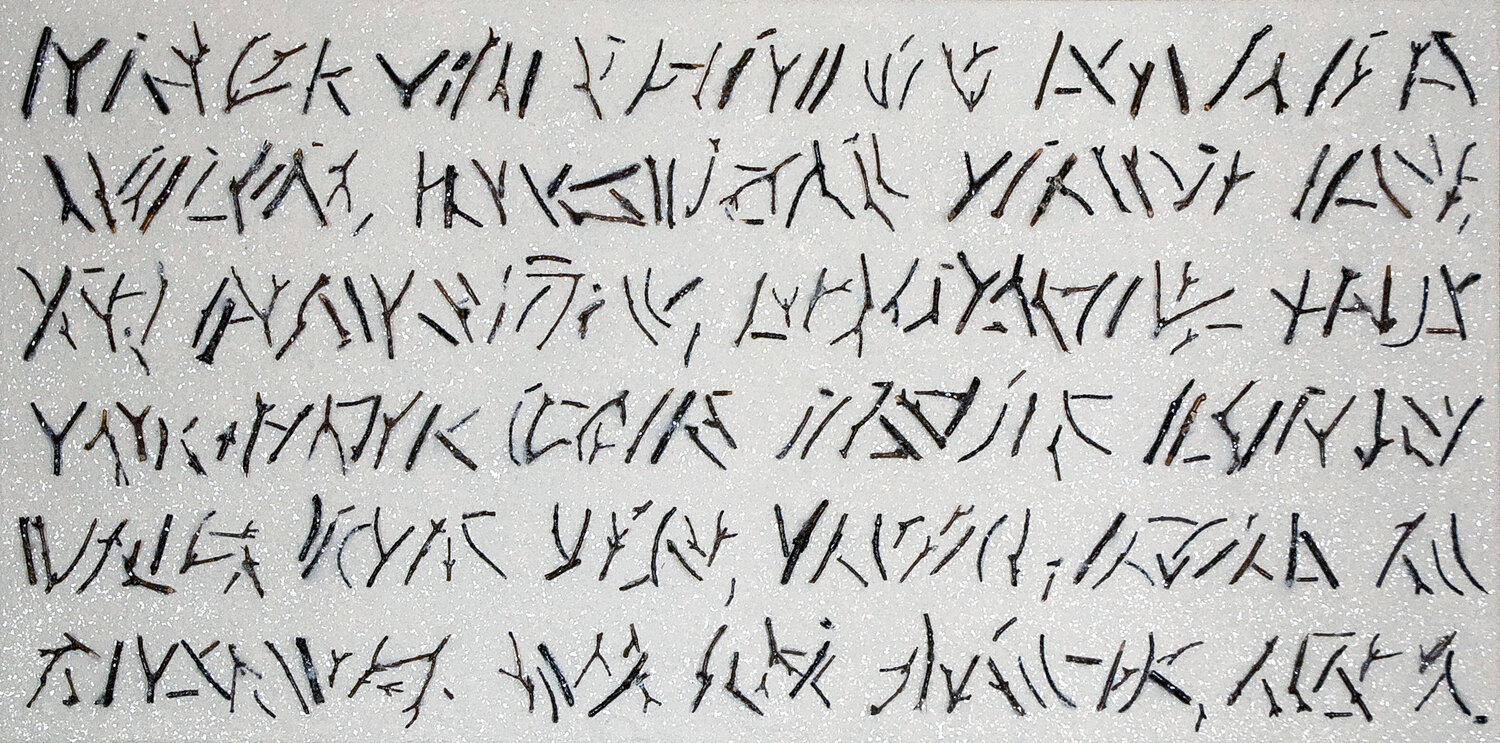 Natural scripts Analía Amaya