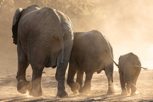 Generations Carel-Louis Steenkamp