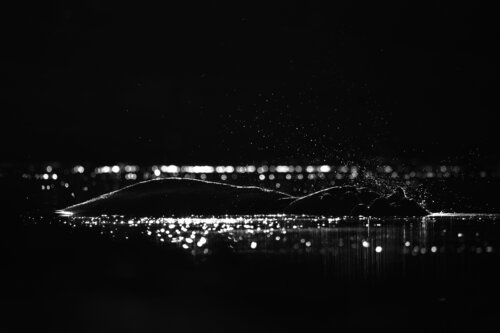 Tranquil Eruption von Carel-Louis Steenkamp, Fotografie kaufen auf Singulart