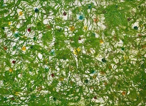 Botanical freedom - Thread nr.8 by Matteo Silva, 회화 for Sale on Singulart