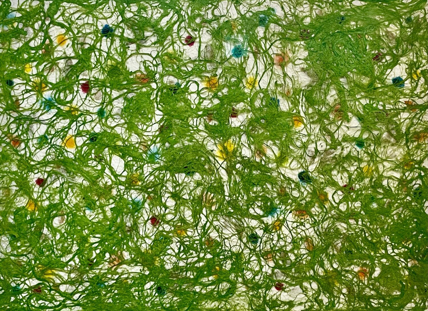 Botanical freedom - Thread nr.8 Matteo Silva
