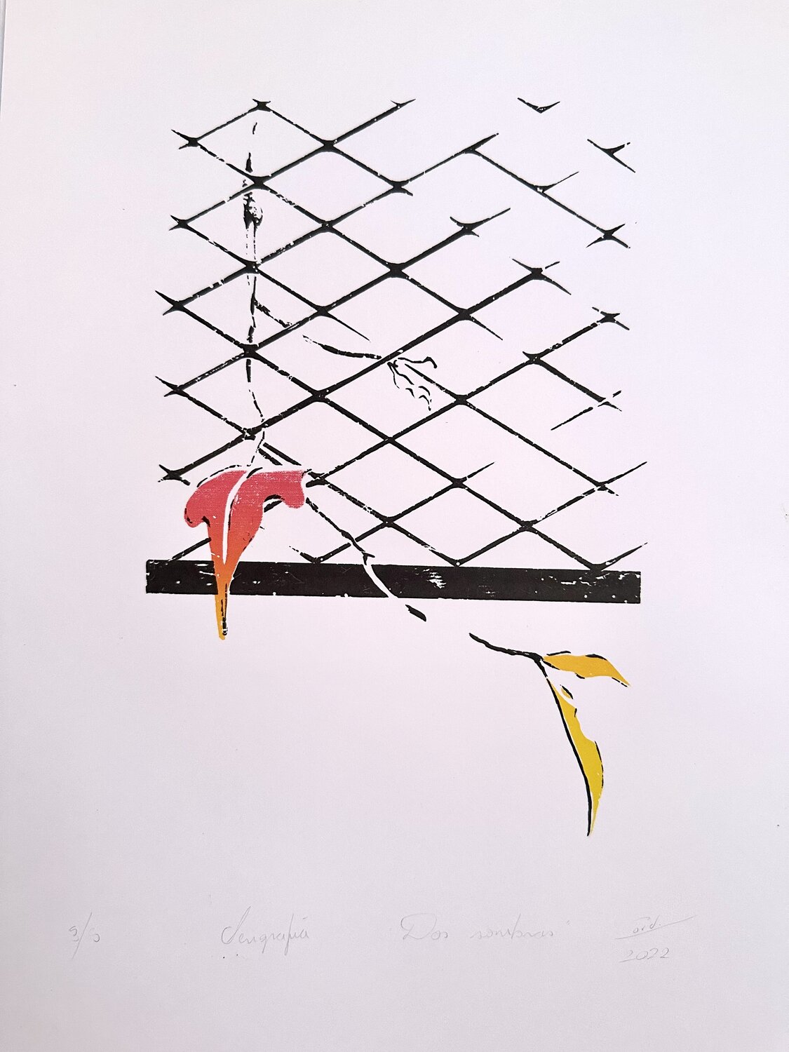Dos sombras Brenda Cordi