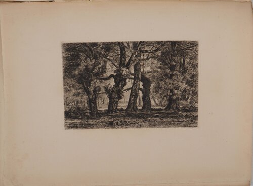 Seine et Marne : Souvenir du Bas-Bréau by Jules Michelin, Print for Sale on Singulart