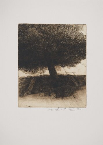 Ballon sous le chêne, Gravure originale signée de Safet Zec, Impresión a la venta en Singulart