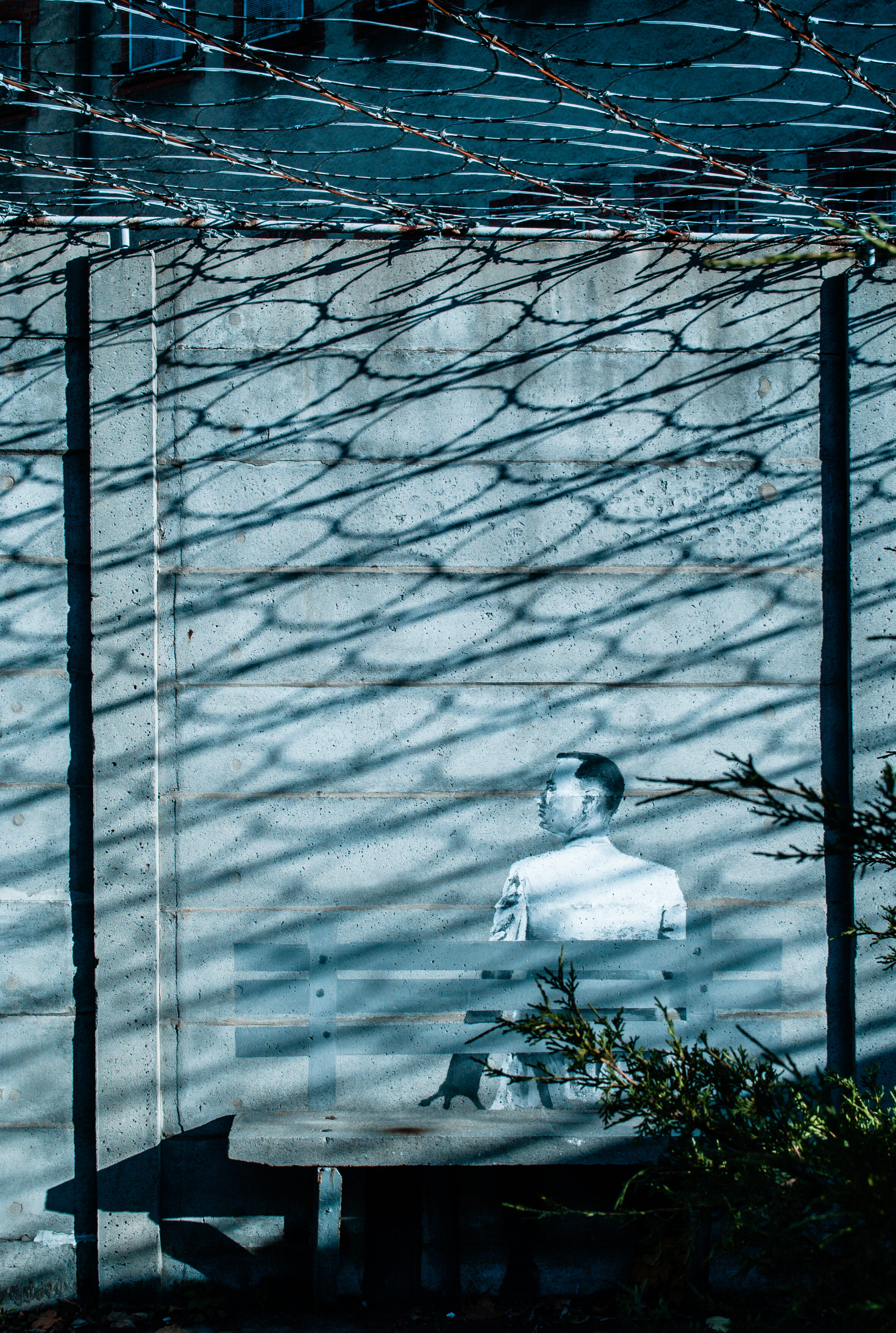 El silencio de las paredes – Historias invisibles de las superficies cotidianas.