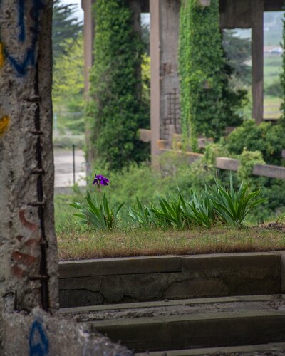 find beauty von Promenade - Vincent Lecoq, Fotografie kaufen auf Singulart
