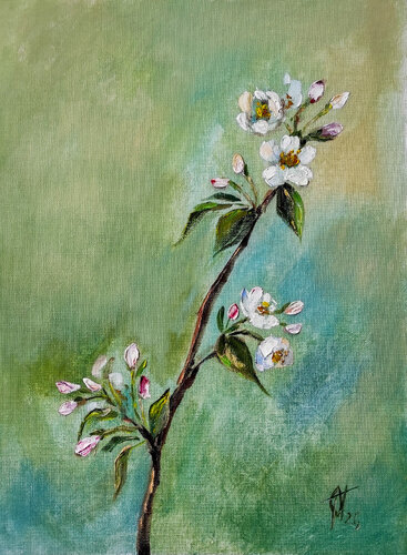 A blooming branch of an apple tree. von Olga Ponomarenko, Malerei kaufen auf Singulart