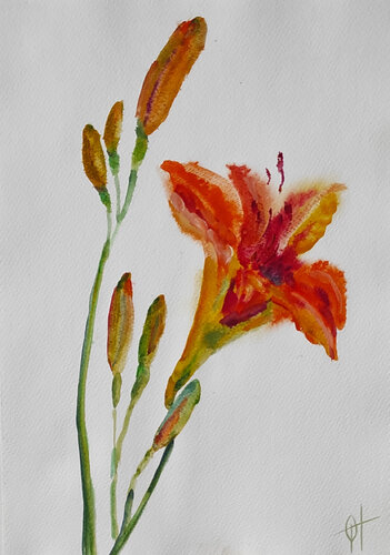 Orange lilies van Olga Ponomarenko, Werk op papier te koop op Singulart