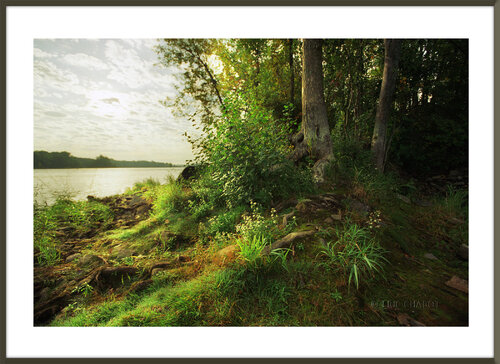 Serene shoreline von Eric Chabot, Fotografie kaufen auf Singulart